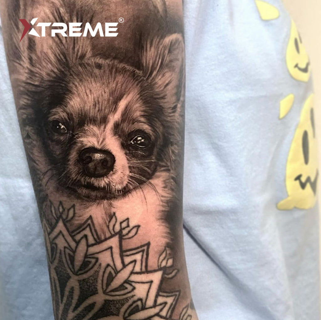 Introduction to Best Ink, a Tattooing Competition